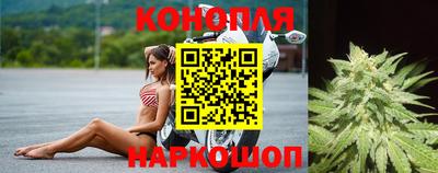 бошки Ставрополь