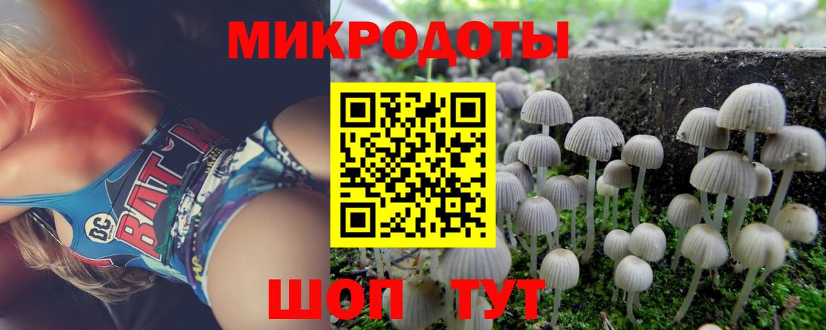 Галлюциногенные грибы ЛСД Ноябрьск