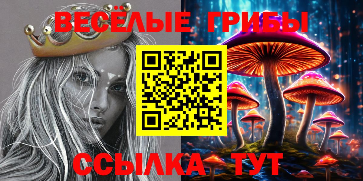 Ноябрьск  Псилоцибиновые грибы Psilocybe  Вход с VPN  Псилоцибиновые грибы Psilocybine cubensis 